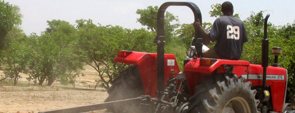 Accélération de la croissance en Afrique sur fond de changements de la donne mondiale